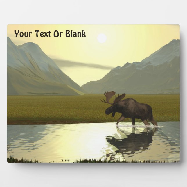 Nachmittagsmoose Fotoplatte (Vorderseite)