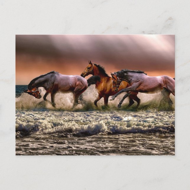 Nachmittagsspass im Surf Postkarte (Vorderseite)