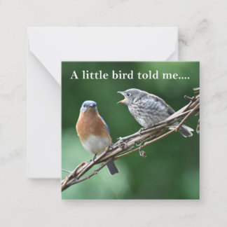 Nachrichtennotecard Mitteilungskarte