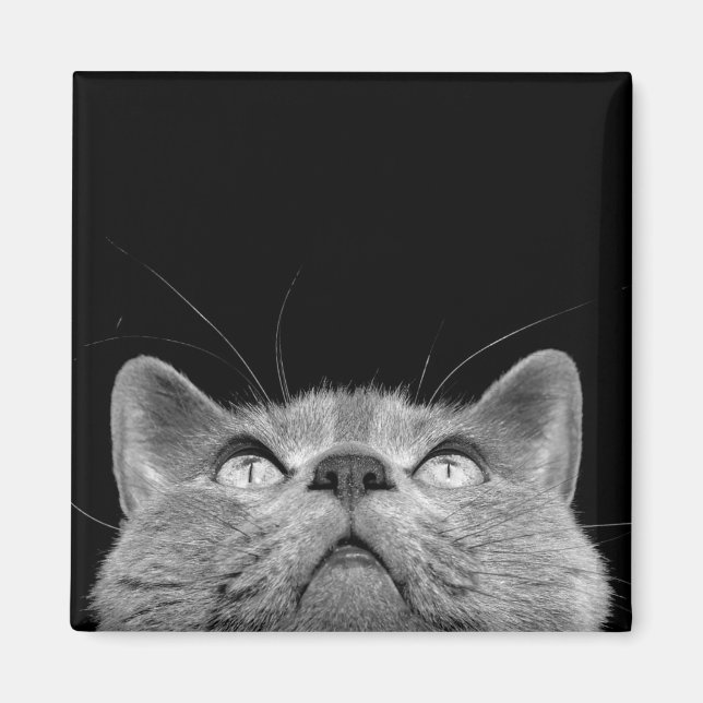 Nachschlagen des Magneten Magnet (Vorne)