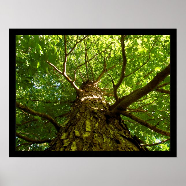 Nachschlagen Poster (Vorne)