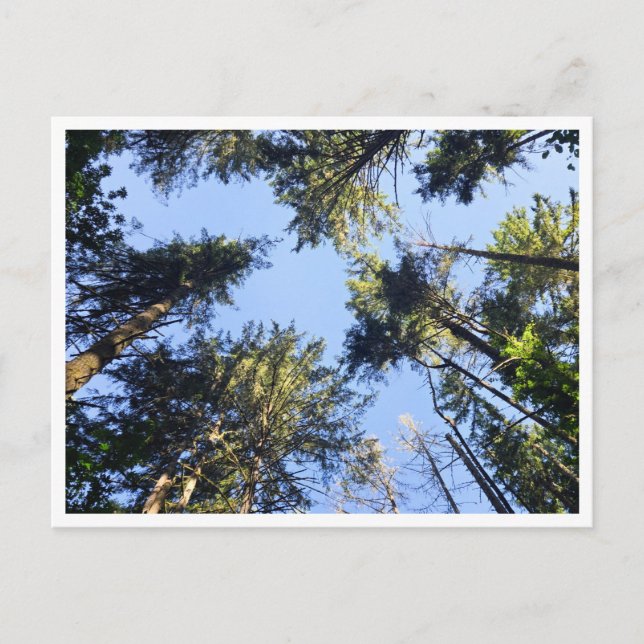 Nachschlagen  postkarte (Vorderseite)