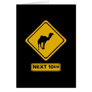 nächste 10 km Kamele