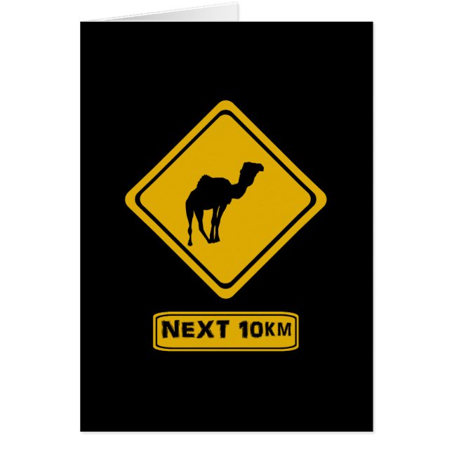 nächste 10 km Kamele (Vorne)