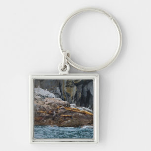 Nächste Zeile Schlüsselanhänger