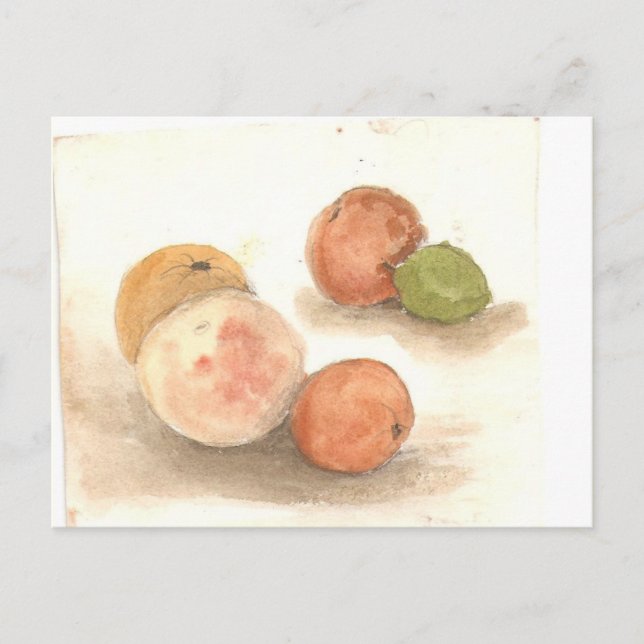 Nacht der klassie iguana postkarte (Vorderseite)