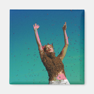 Nacht fliegen magnet