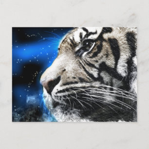 Nacht Himmelssterne weiß Tiger Postkarte