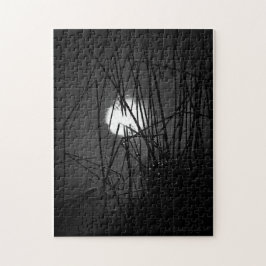 Nacht im Puzzle du Pond