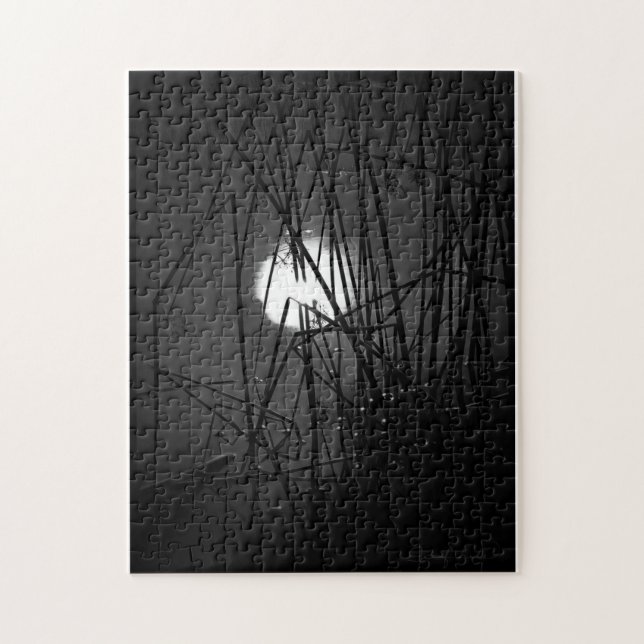 Nacht im Puzzle du Pond (Vertikal)