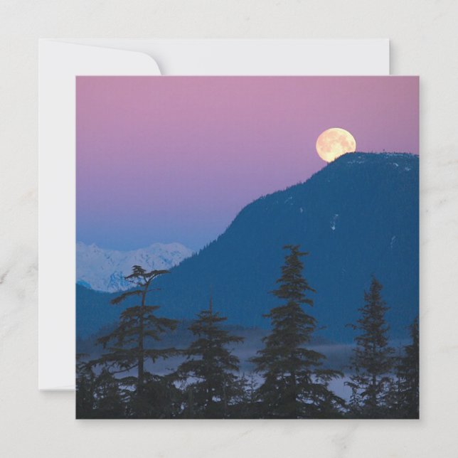 Nacht in Alaska Einladung (Vorderseite)