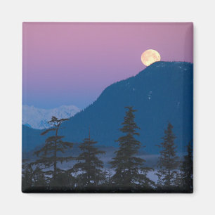 Nacht in Alaska Magnet