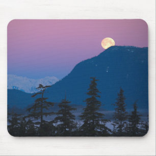 Nacht in Alaska Mousepad