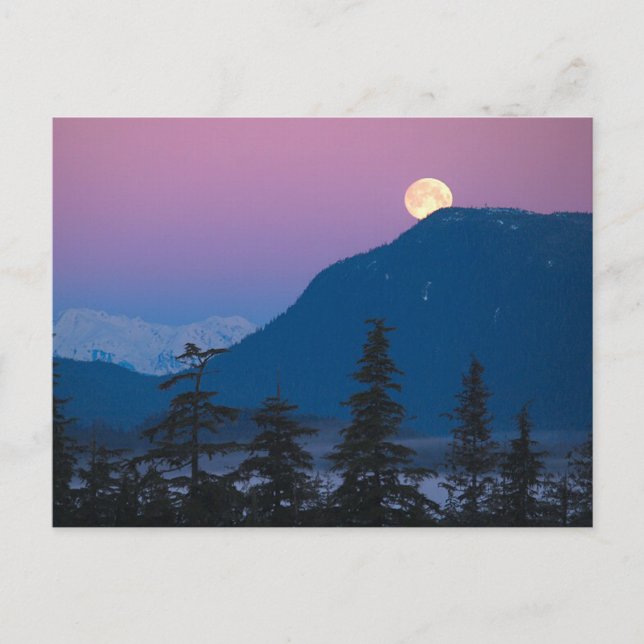 Nacht in Alaska Postkarte (Vorderseite)