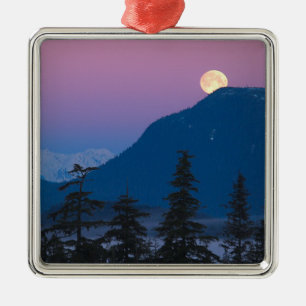 Nacht in Alaska Silbernes Ornament