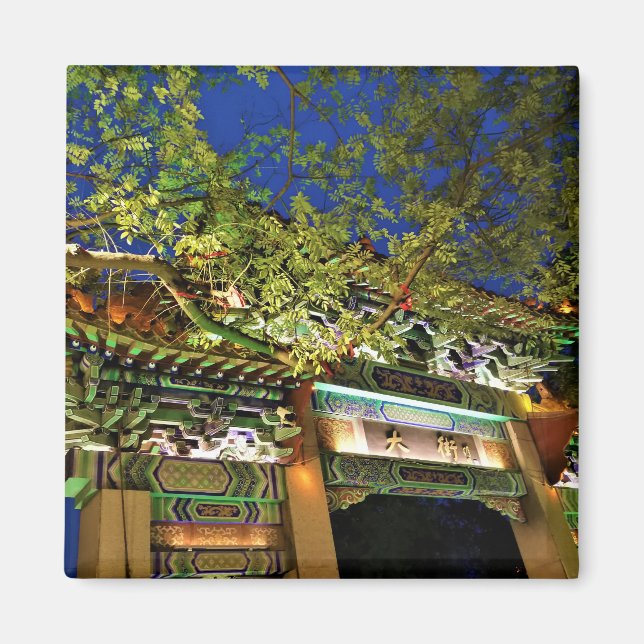 Nacht in China Magnet (Vorne)