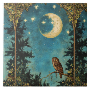 NACHT OWL VOLLSTÄNDIG MOND UND STARRY NACHT FLIESE