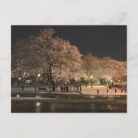 Nacht Schnee Salem Common Massachusetts Foto
