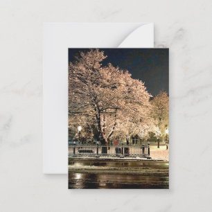 Nacht Schneesturm Salem Common Massachusetts Foto Mitteilungskarte