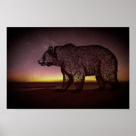 Nachtbär und Aurora Borealis Poster