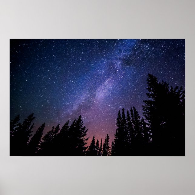 Nachtbaum und Sternenwerk | Poster (Vorne)