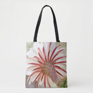 Nachtblühende Blume