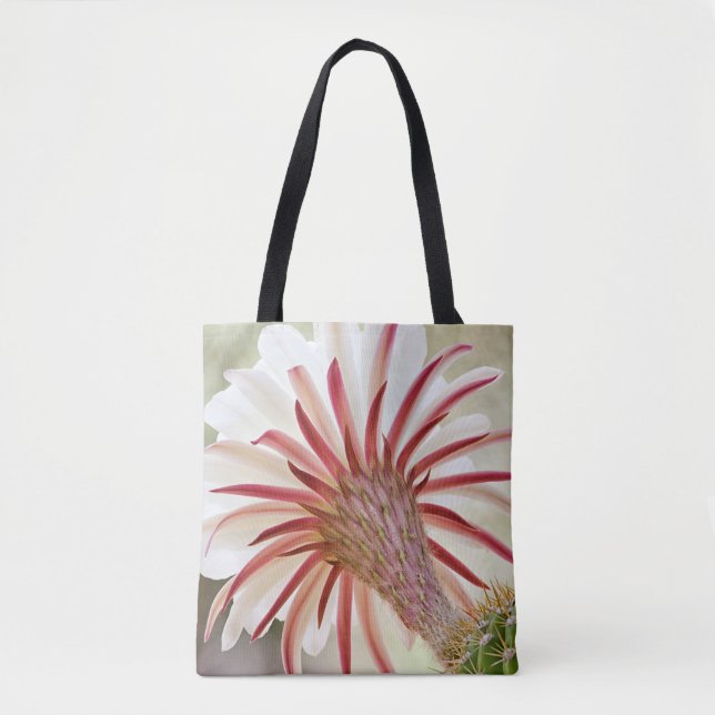 Nachtblühende Blume (Vorderseite)