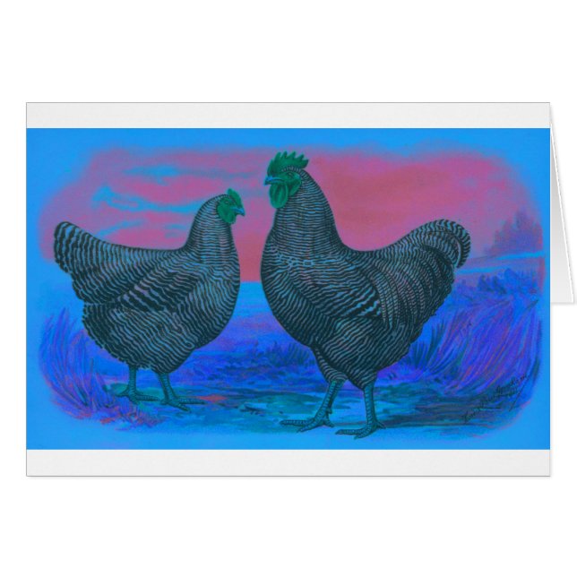 NachtBreak (Vorderseite (Horizontal))