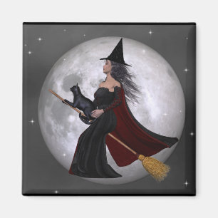 Nachtfahrt:: Hexe u. ihr Katzen-Reiten in der Magnet