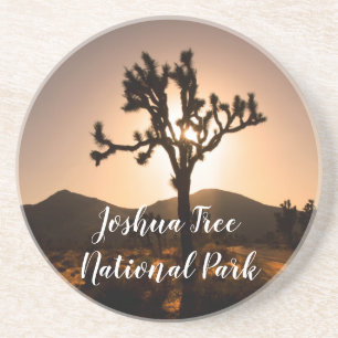 Nachtfall beginnt bei Joshua Tree  Getränkeuntersetzer