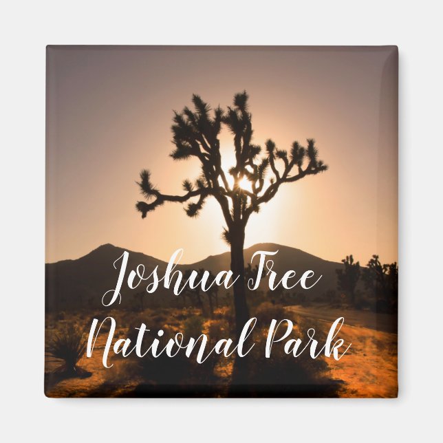 Nachtfall beginnt bei Joshua Tree Magnet (Vorne)