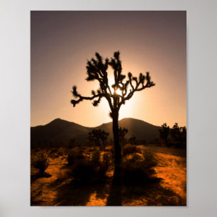 Nachtfall beginnt bei Joshua Tree Poster