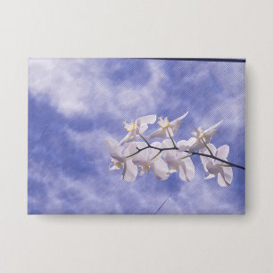 Nachtfalter-Orchidee Button