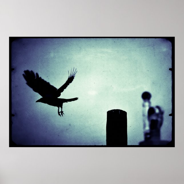 Nachtflug der Magpie Poster (Vorne)