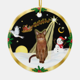 Nachtflug - Ruddy Abyssinian Cat Keramik Ornament