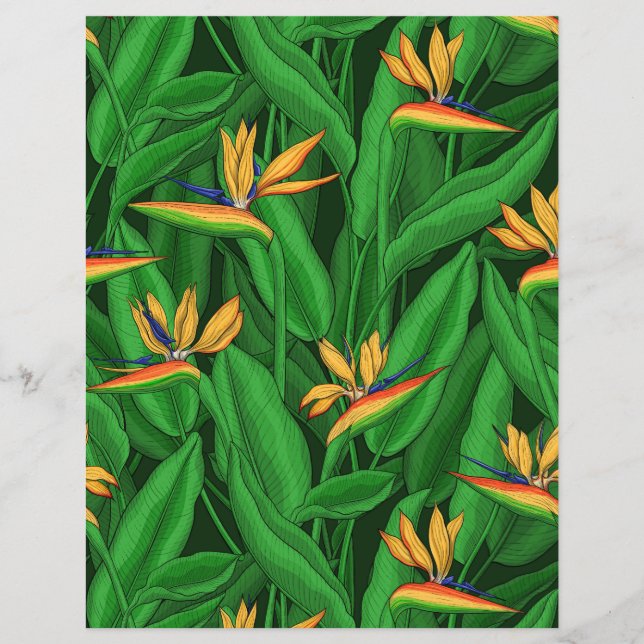 Nachtgeflügel im Paradies (Vorderseite)