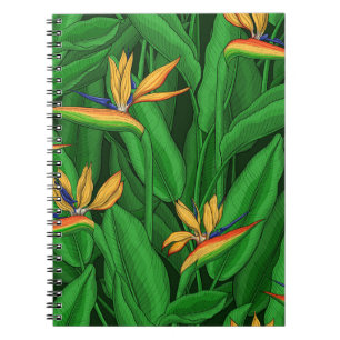 Nachtgeflügel im Paradies Notizblock