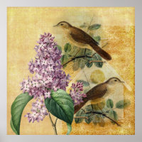 Nachtigales mit Lilac