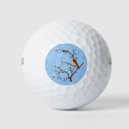 Nachtigall Golfball