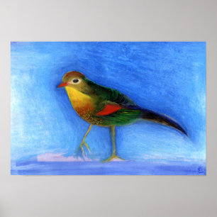 Nachtigall-Licht 2012 Poster