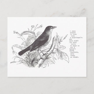 Nachtigall Postkarte