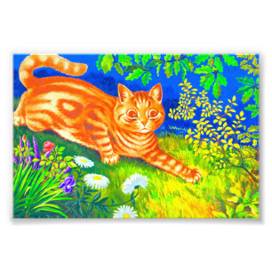 Nachtkatze Fotodruck