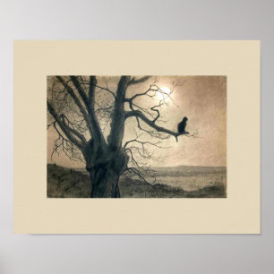 Nachtkatze im Baum-Plakat Poster