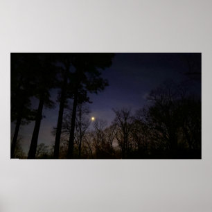 Nachtlicht, Poster