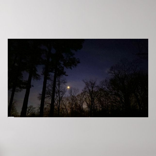 Nachtlicht, Poster (Vorne)