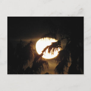 Nachtmond Postkarte