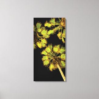 Nachtpalme, 16x32 Zoll Leinwanddruck