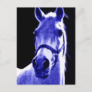 Nachtpferd Postkarte