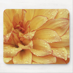 Nachträgliche Fotografien der Dalhia Blume mit de Mousepad