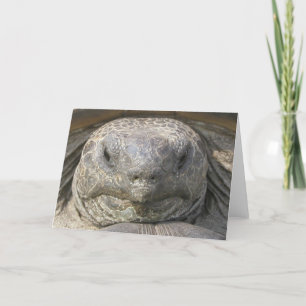 Nachträglicher Geburtstag Karte